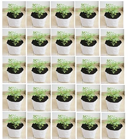Evergreen UV Treated Poly Grow Bags (White Outside, Black Inside - 20 Bags)