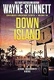 Down Island: A Jesse McDermitt Novel