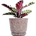 Gepege 10 Inch Plant Pot, Ceramic Planter with Drainage Holes and Saucers for Plants Indoor and Outdoor Flower Pot
