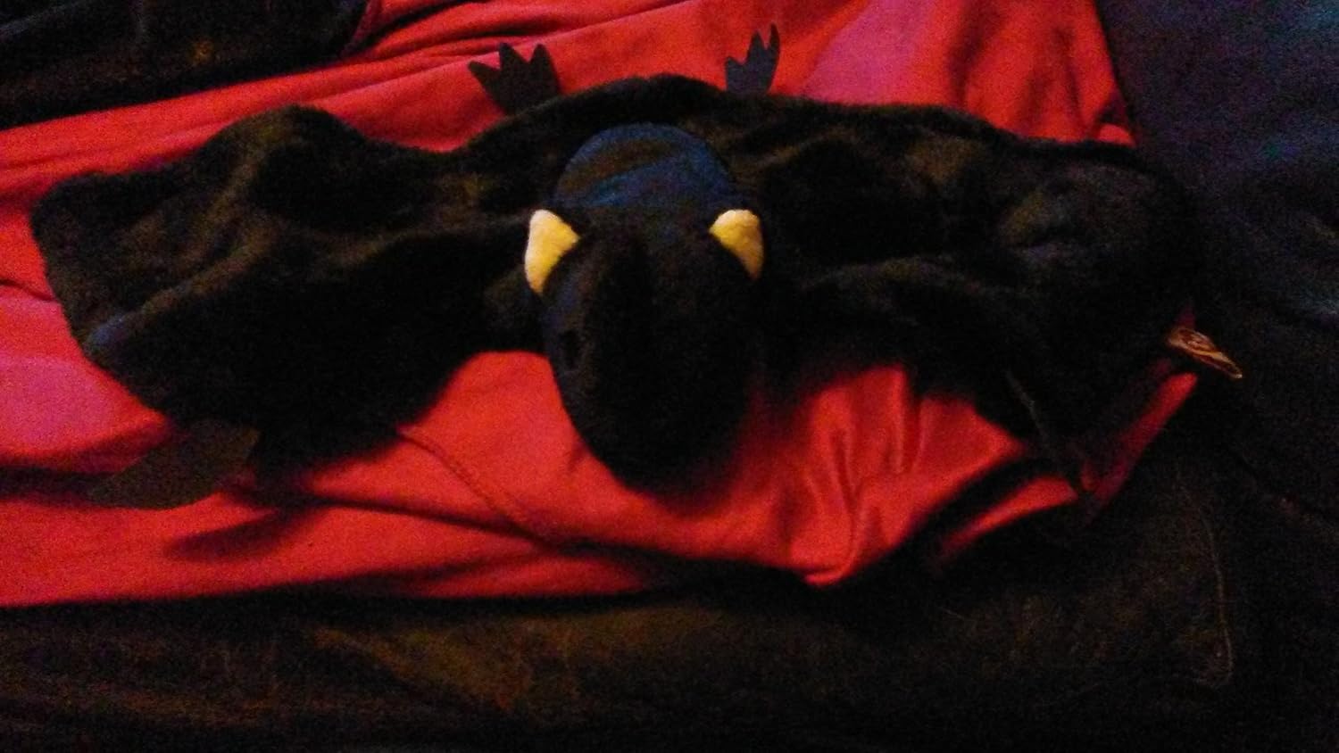 radar the bat beanie baby