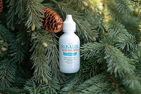 ALKALOL SOLUTION SALINE NASAL SPRAY, 1.69 OUNCE