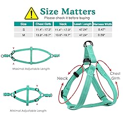 Pawaboo Dog Leash Harness Set, Durable Adjustable