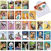 Panelee 60 Set Funny Animal Greeting Cards Set with 3.58x5.1” Inches Envelopes Summer Camp Gratitude Thinking of You Humorous Joke Notecards Appreciation Postcards for Kids Friends Students Teacher