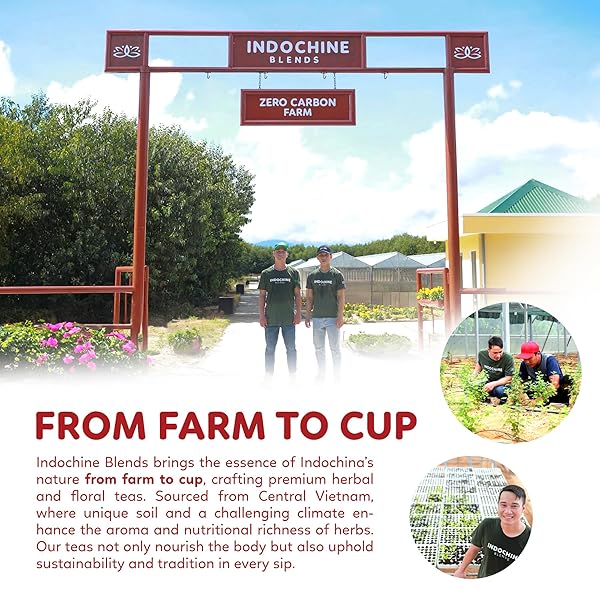 INDOCHINE BLENDS LOVING TEA | HIBISCUS FLOWER, ROSE TEA, ROSEMARY TEA, AND BLACK TEA | 2G X 50 TEA BAGS| SUGAR-FREE, CAFFEINE-FREE HERBAL TEA | PYRAMID CHAMBER TEA BAGS | RICH IN NATURAL GOODNESS AND FLAVOR