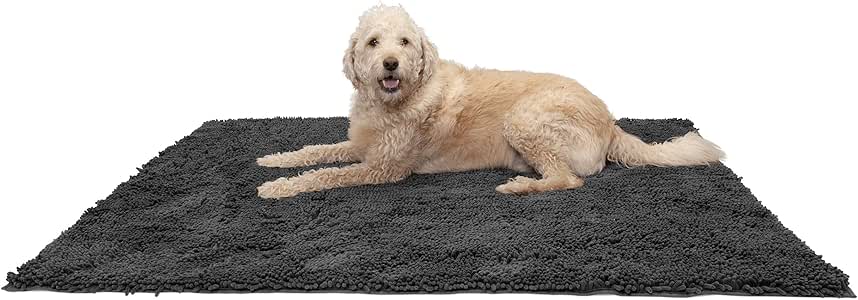 muddy paws mat
