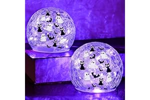 Yinhua 2 PCS Halloween Decorations Indoor 4" Ghost Decor Black Cat Bat Globe Light with Timer Crackle Glass Ball Purple Light for Table Centerpieces Lighted Decorative Ball Led Globe Lamp Gift