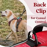 rabbitgoo Dog Harness Medium with Neck Release Buckle Front Back Clips Red M view 8