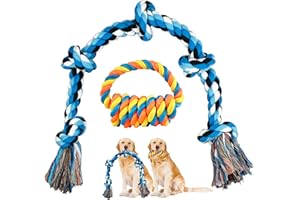 GHOBROFY Dog Rope Toys for Aggressive Chewers and Large Dog Breeds, Tough Indestructable Dog Chew Toys 2 Pack, Dental Cleaning Teething Toys, Blue