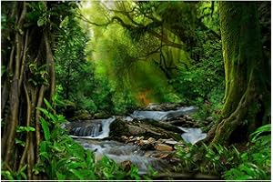 ZATIASMILLER Rainforest Aquarium Background Tropical Forest Stream Fish Tank Background Rainforest Lush Jungle Moss Huge Tree Reptile Tank Background Tropical Jungle Forest Reptile Enclosure Background 24x12in