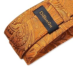 DiBanGu Silk Paisley Ties for Men Woven Necktie and