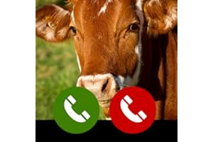 Fake call from Cute Cow