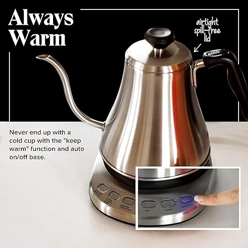 Gooseneck Electric Kettle with Temperature Control
