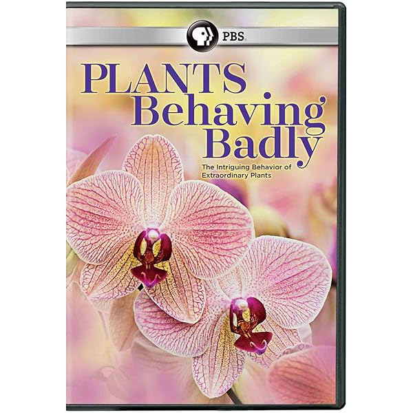 Amazon.com: Private Life Of Plants : Movies & TV