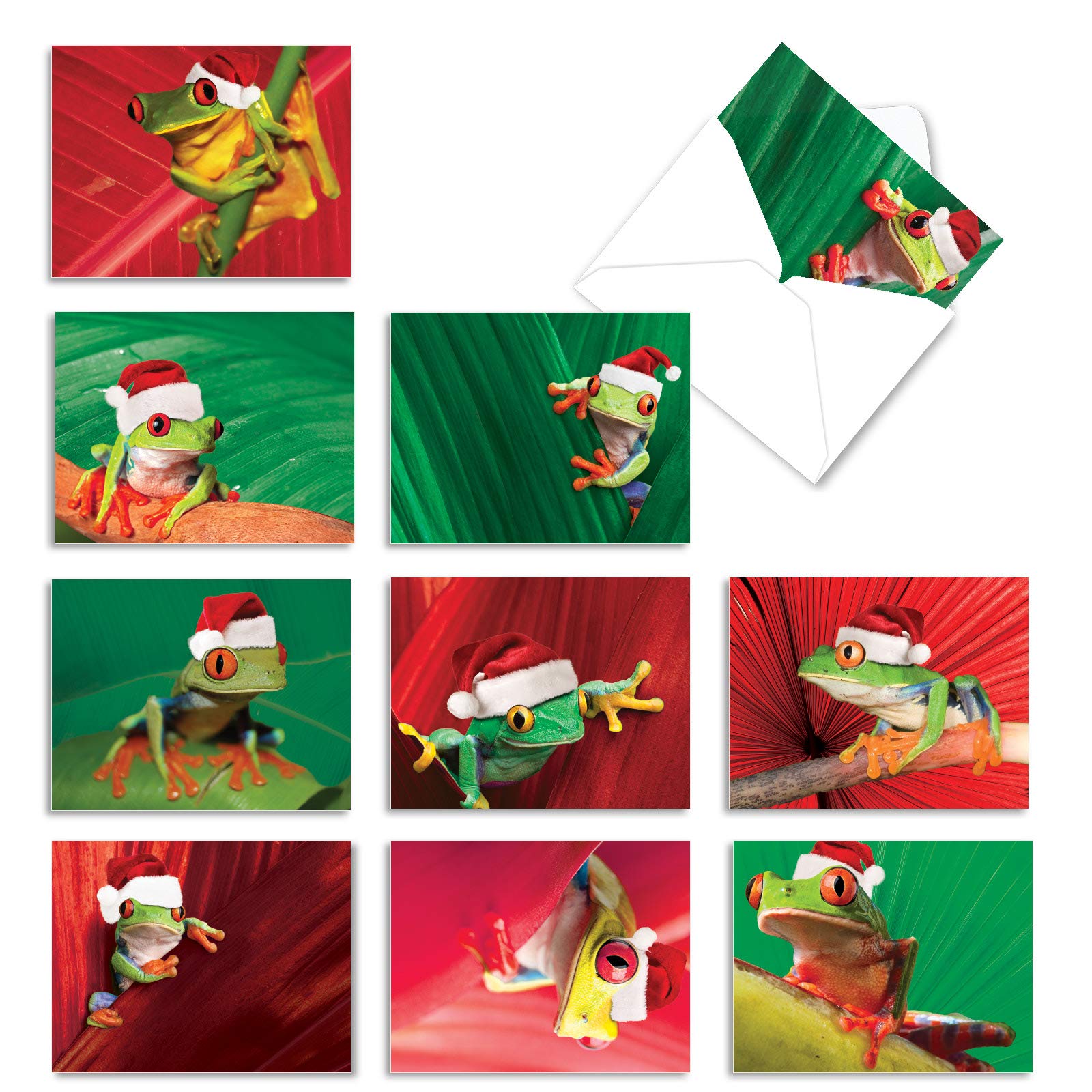 The Best Card Company - 10 Holiday Note Cards for Christmas - Festive Bulk Assortment, Boxed Notecards with Envelopes (4 x 5.12 Inch) - Yule Frogs M1754XS