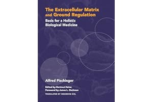 The Extracellular Matrix and Ground Regulation: Basis for a Holistic Biological Medicine