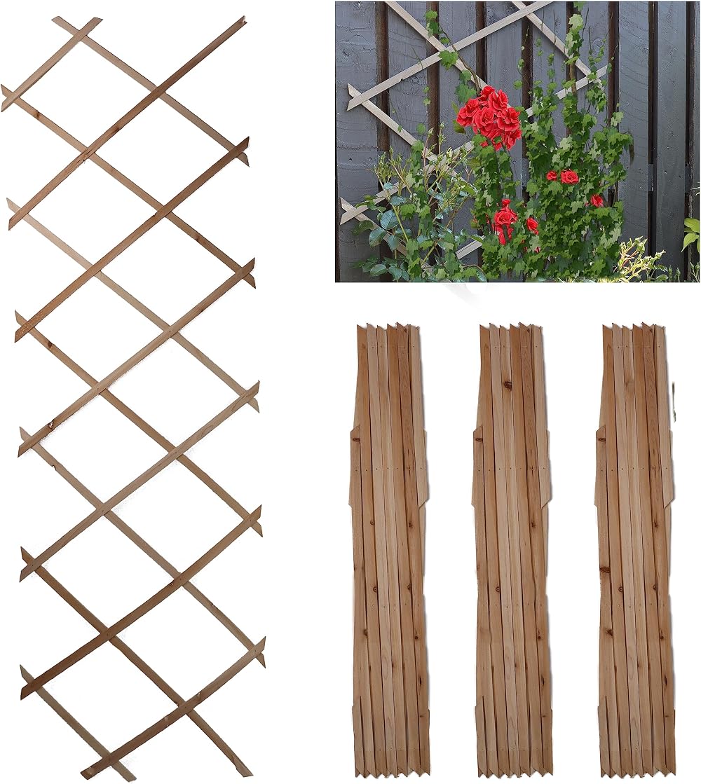 DIVCHI Wooden Trellis Expandable Garden Wall Trellis Pack of 3 180x60 Natural