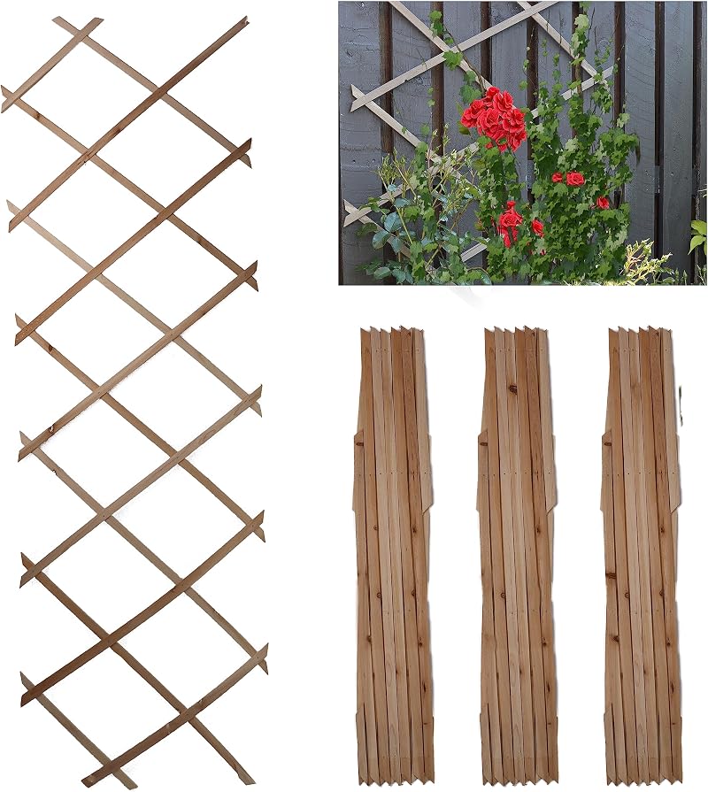 DIVCHI Wooden Trellis Expandable Garden Wall Trellis Pack of 3 180x60 Natural
