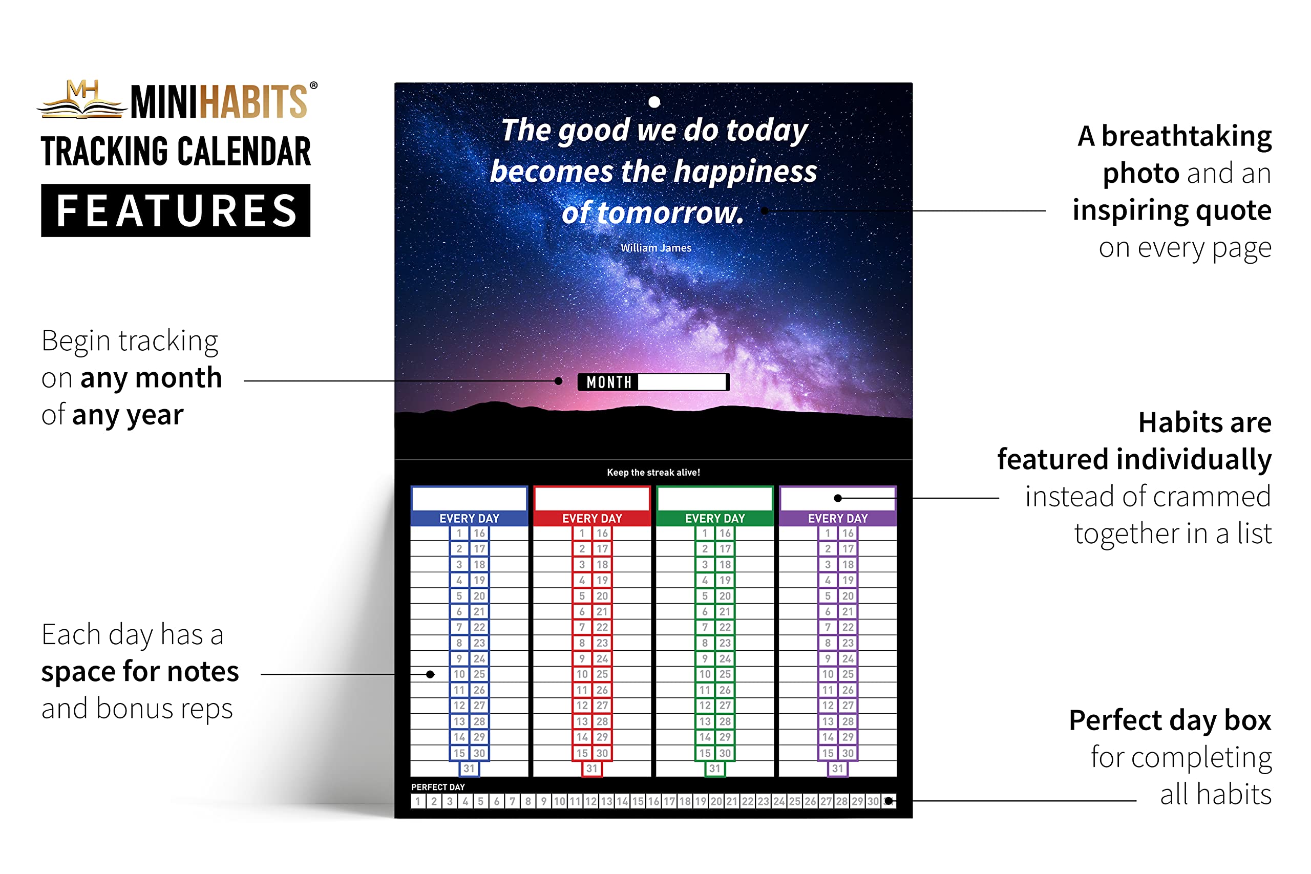 Official Mini Habits Tracking Calendar: 12 Months of Habit Tracking