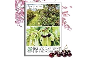 ISLA'S GARDEN SEEDS Black Cherry Tree Seeds (Prunus serotina, Wild Black Cherry) – 25+ Non-GMO & Heirloom Seeds, Fragrant Blossoms & Edible Fruit, Tall Shade Tree for Landscapes, by Isla’s Garden Seeds, Great Gift Idea