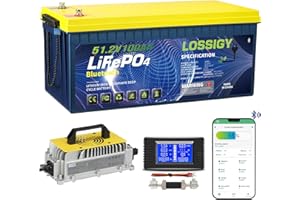 LOSSIGY 48V Lithium Golf Cart Battery with 18A Lithium Charger and Monitor, 48 Volt Battery Conversion Kit, Built in 200A Bluetooth, Peak Current 1000A(3-5s), Prefect for RV, Solar System
