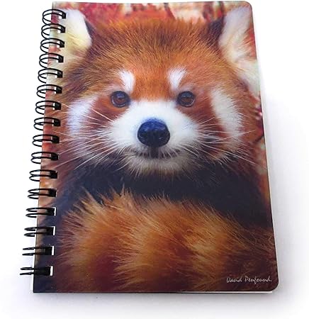 Amazon Co Jp ノート 文房具 A6 メモ帳 浮き出る 3dリングノート レッサーパンダ 動物 301 947 おもちゃ