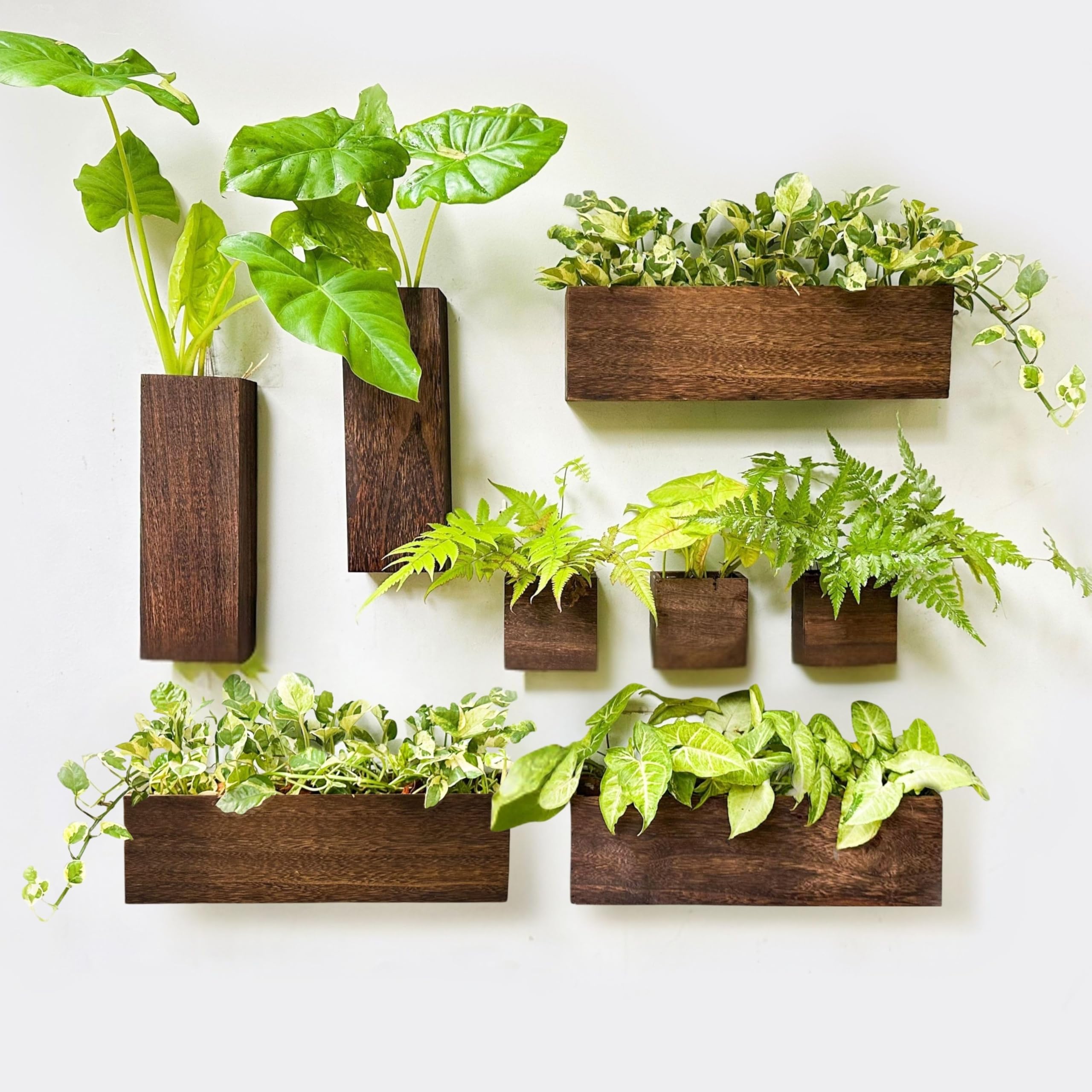 Photo 1 of LaLaGreen Wood Planter Box for Plants (8 Pack) Wooden Wall Hanging Planters for Indoor Plant Holder Vase for Dried Flowers, Modern Country Rustic Wall Decor Living Room Bedroom Office Home Garden