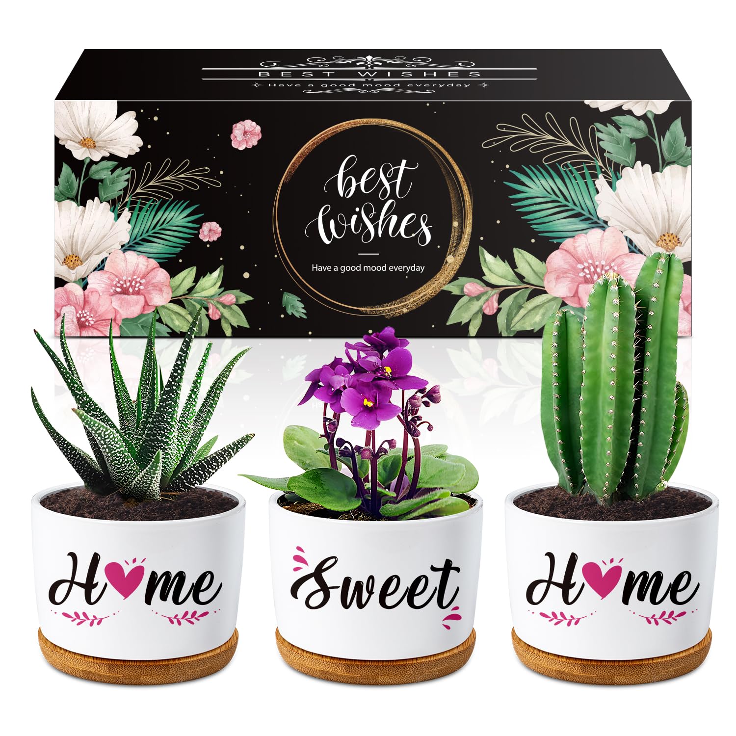 Buioata New Home Gifts, 'Home Sweet Home' Succulent Pots, House Warming Gifts for Couple, Housewarming Gifts for Friends Neighbor