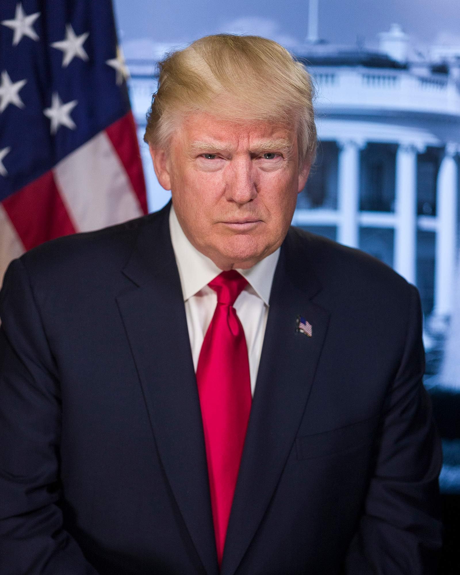 Donald Trump Photograph - Historical Artwork from 2016 - US President Portrait - (11" x 14") - Matte