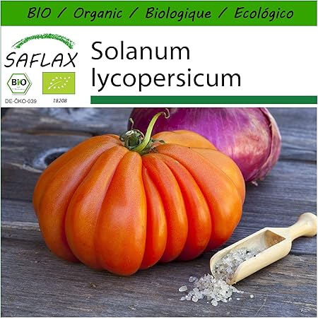 SAFLAX - BIO - Tomate - Ochsenherz - 10 Samen - Mit keimfreiem Anzuchtsubstrat - Solanum lycopersicum