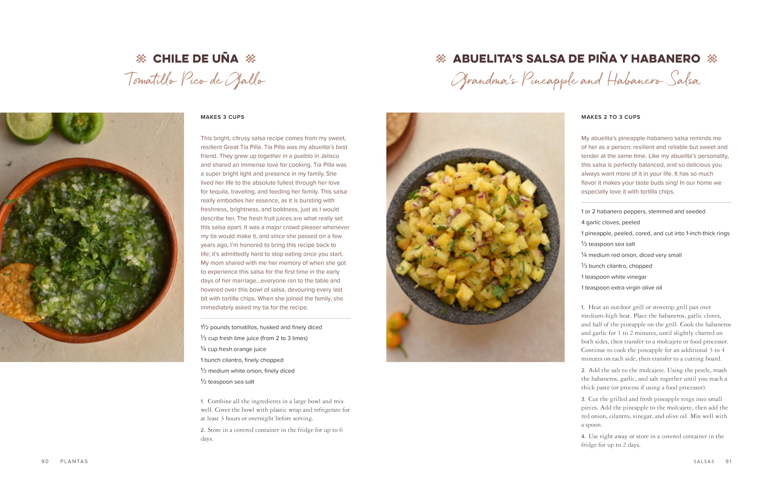 Plantas: Modern Vegan Recipes for Traditional Mexican Cooking Aug 6, 2024