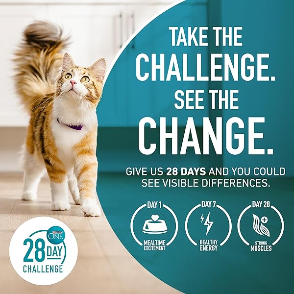 PURINA ONE HIGH PROTEIN, NATURAL SENIOR DRY CAT FOOD, INDOOR ADVANTAGE SENIOR+ – 7 LB. BAG