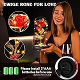 Touloube Mother's Day Rose Bear Gift Set with Necklace & Galaxy Rose view 3