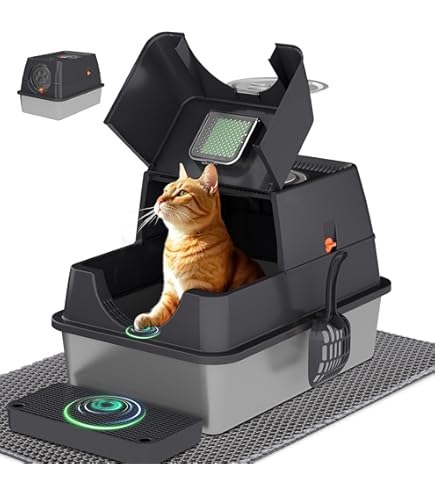 Kitten Starter Supplies Starter Kit, 20 pcs of Cat Essentials and