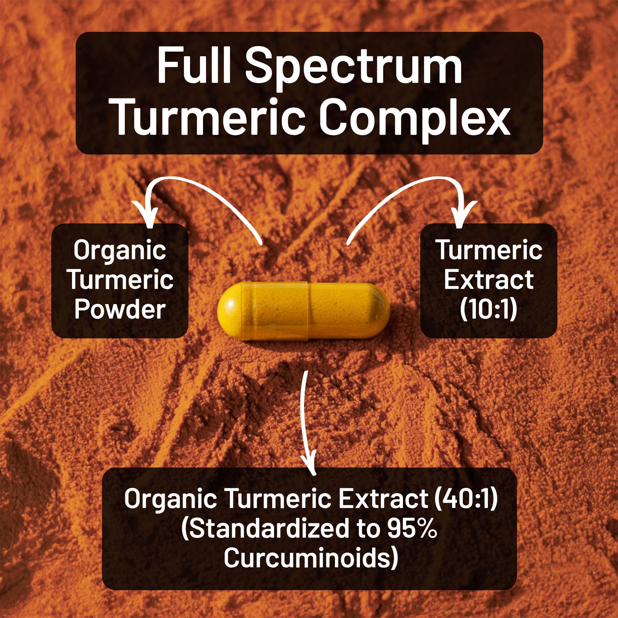 NatureWise Turmeric Curcumin Complex 3200 mg with BioPerine for Absorption - Turmeric Curcumin Supplement for Antioxidant Support - Non-GMO, Vegan, USA Manufactured - 90 Capsules[30-Day Supply]
