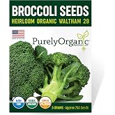Purely Organic Broccoli Seeds (Waltham 29) - Approx 750 Seeds - USDA Organic, Non-GMO, Open Pollinated, Heirloom, USA Origin