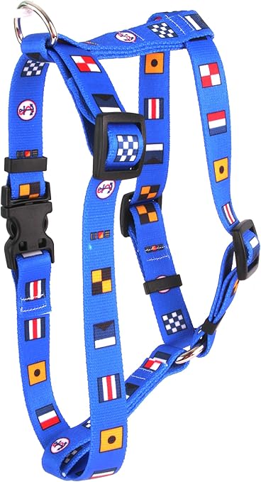 best dog food for old dogs