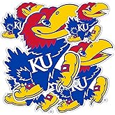 Desert Cactus University of Kansas Sticker Jayhawks KU Vinyl Decals Laptop Water Bottle Car Scrapbook T3 (Type 3-2)