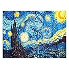 Crafts Graphy 5D DIY Diamond Painting Kits for Adults Full Drill - Circular Drill, Starry Night, 12 x 16 Inches