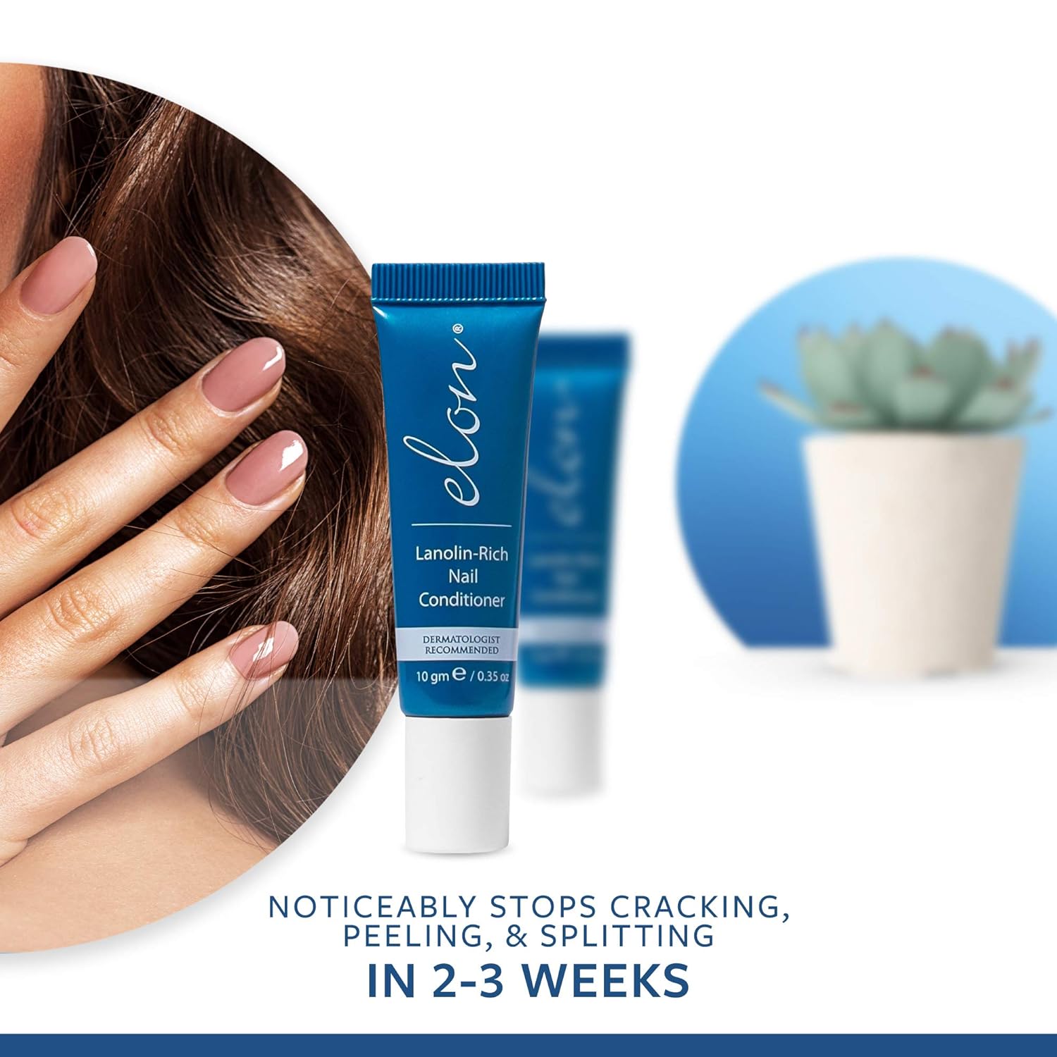 Elon Lanolin-Rich Nail Conditioner | Strengthens Nails & Protects Cuticles | Recommended by Dermatologists & Podiatrists (10g tube) : Nail Strengthening Products : Beauty