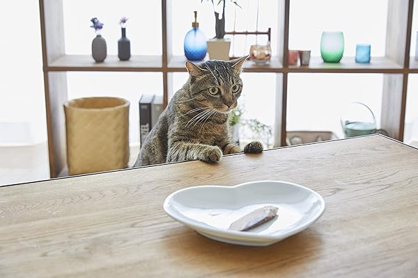 INABA USA504 CIAO GRILLED CAT TREAT WITH ADDED VITAMIN E, ONE SIZE/0.5 OZ