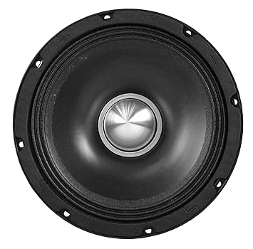 speaker 8 inch 500 watt