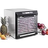 Excalibur EXC10EL Electric Food Dehydrator NSF Approved with Digital Controller Features 99-Hour Timer with Adjustable Time and Temperature Auto Shut Off Made in USA, 10-Tray, Silver