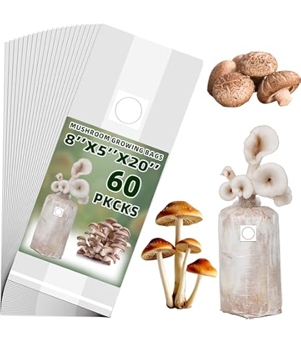 Fournitures De Culture De Champignons 0,25 Um – 128 Pièces 20 Mm Filtre Disque De Champignon Appliqué Sous Un Couvercle à Large Ouverture Pour La Culture De Champignons