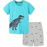 Funnymore Toddler Boy Cotton Summer Short Sleeve T-Shirt and Short Set