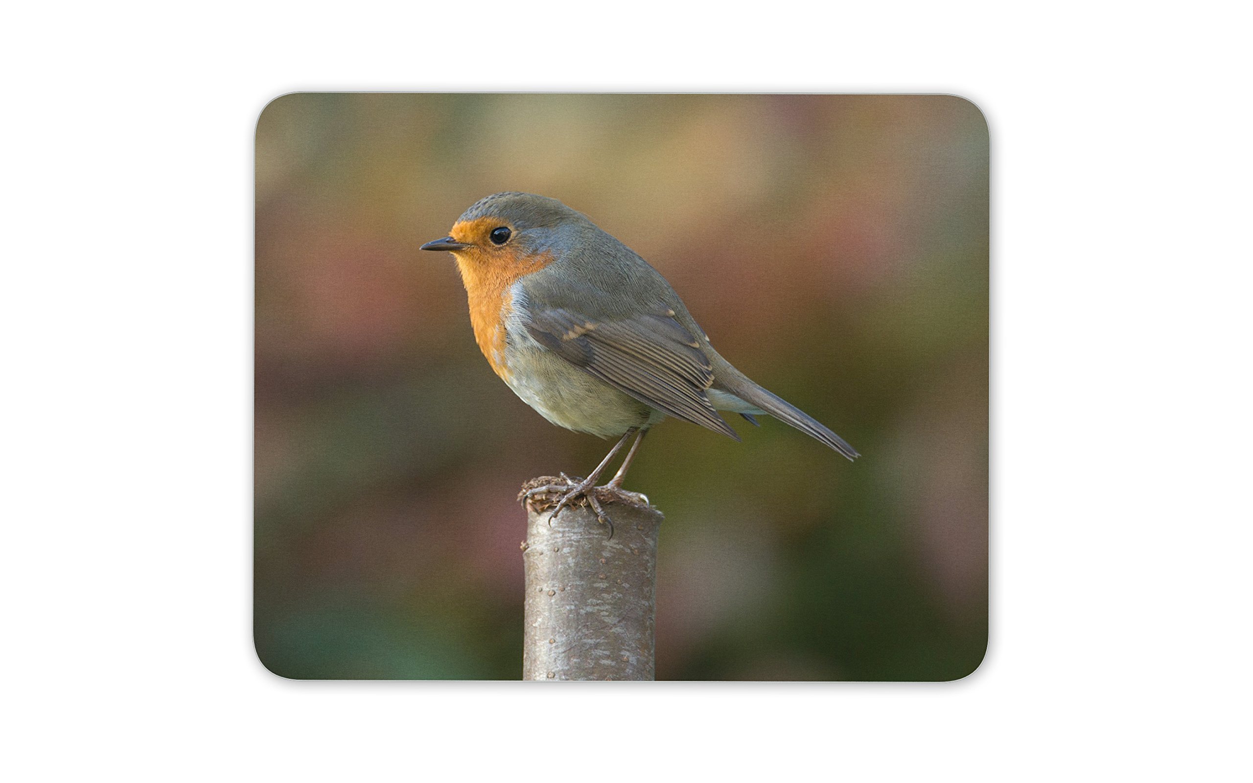 Destination Vinyl Ltd Pretty Robin Mouse Mat Pad - Garden Bird Birds Gardening Computer #13116