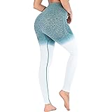 Ombre Seamless Cute Gym Leggings Power Stretch High Waisted Yoga Pants Running Workout Leggings