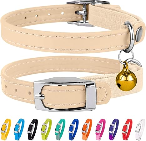 weimaraner wearing clothes