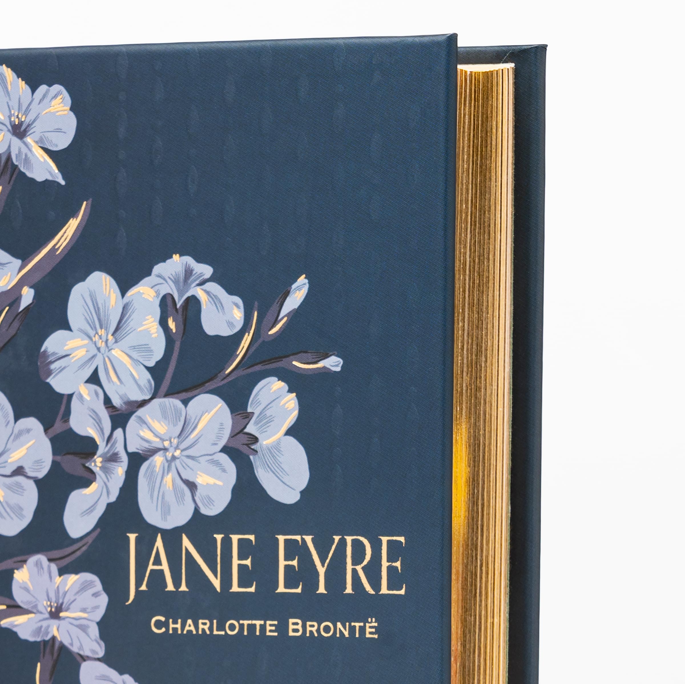 Jane Eyre (Special Edition) (Signature Gilded Editions)