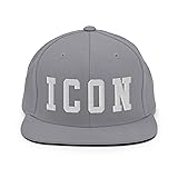ICON Embroidered Snapback Hat, Icon Cap Silver