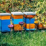 Lineshading Bee Watering Station 4 Pack Metal Garden Stakes Decor view 5